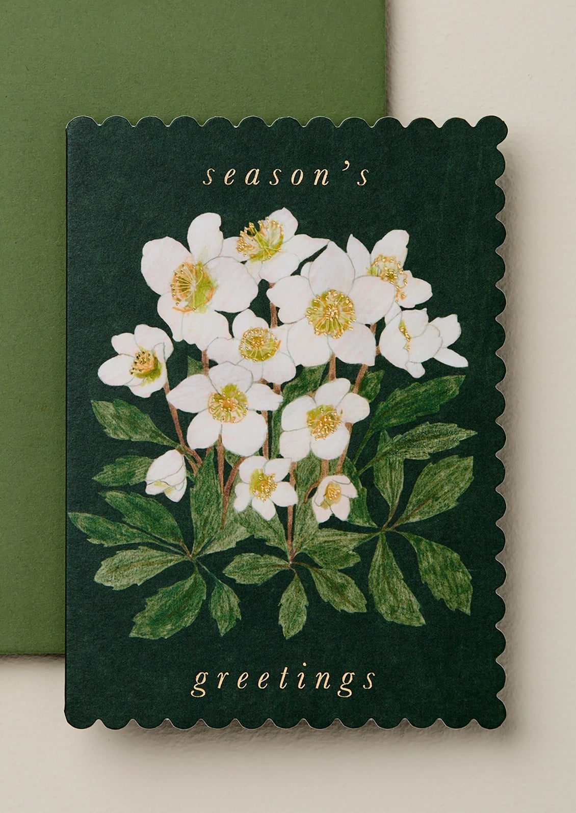 A scalloped-edge greeting card featuring a botanical illustration of white flowers with yellow centers and green leaves on a dark green background, with the words 'season's greetings' printed on the card. The card is shown against a neutral cream background with a matching dark green envelope behind it.