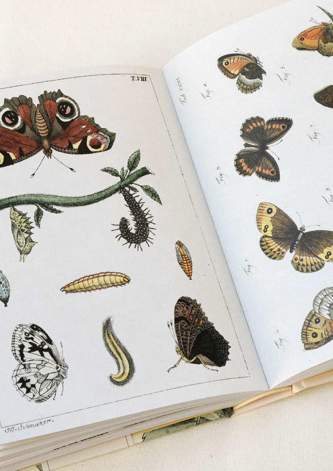 A sticker book sitting open on a table showing two pages featuring illustrations of butterflies and caterpillars in various colors and sizes.