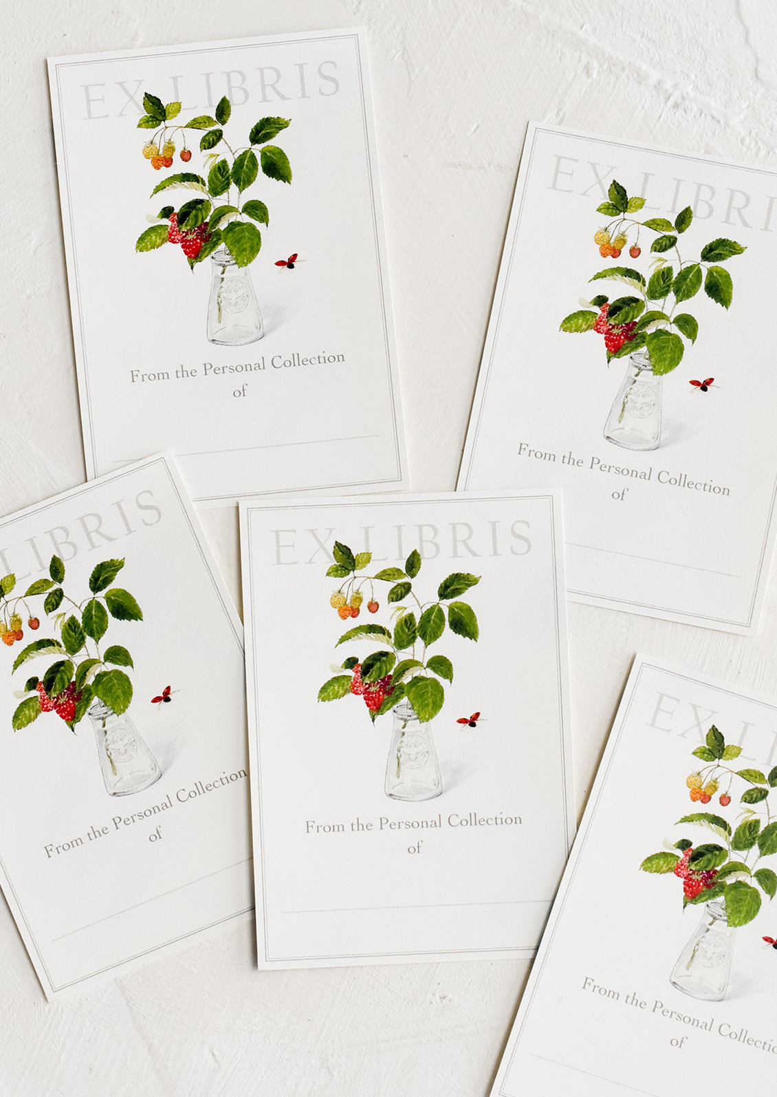 A five pack of raspberry print book plates.