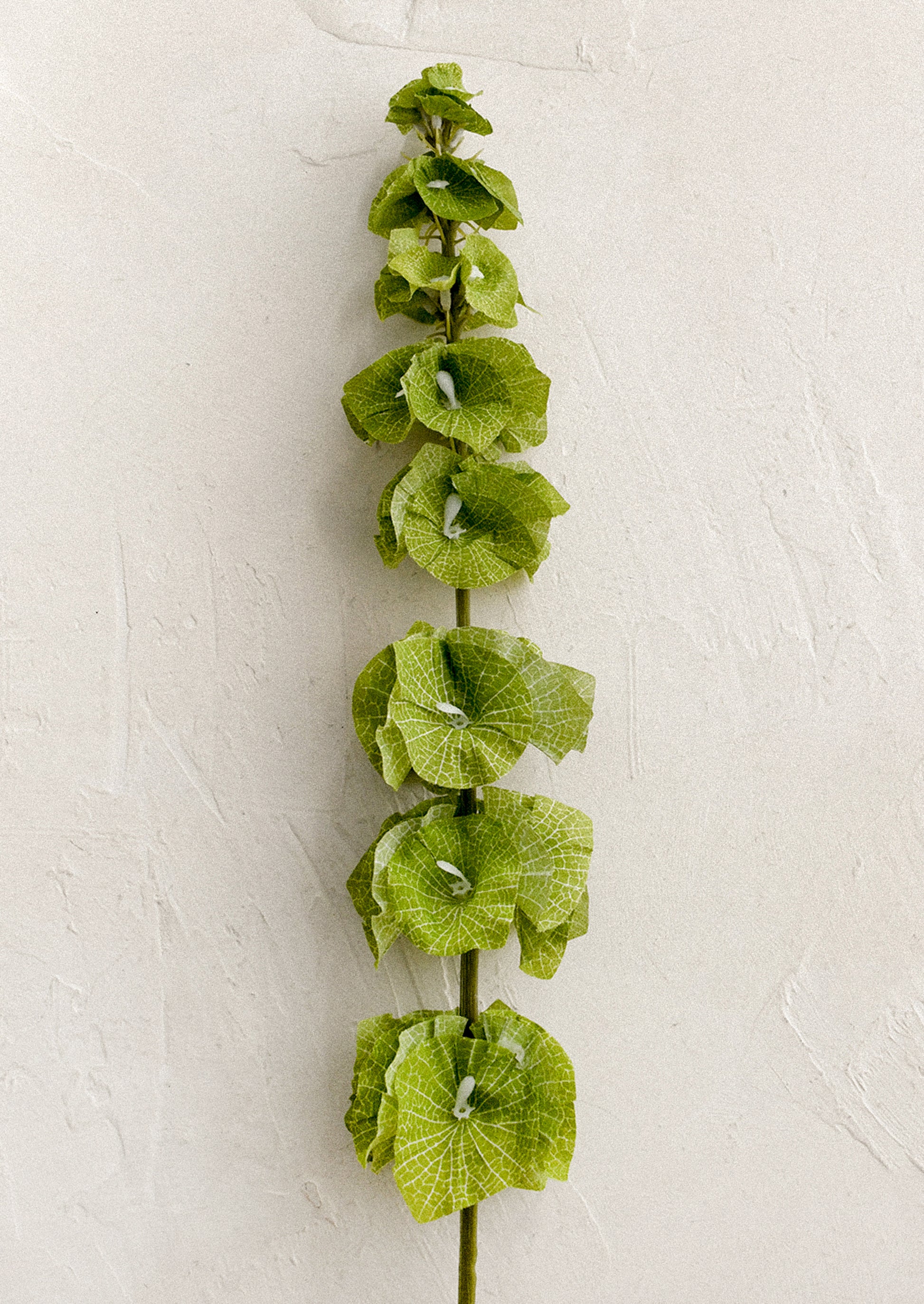 A faux greenery stem in the likeness of Bells of Ireland.
