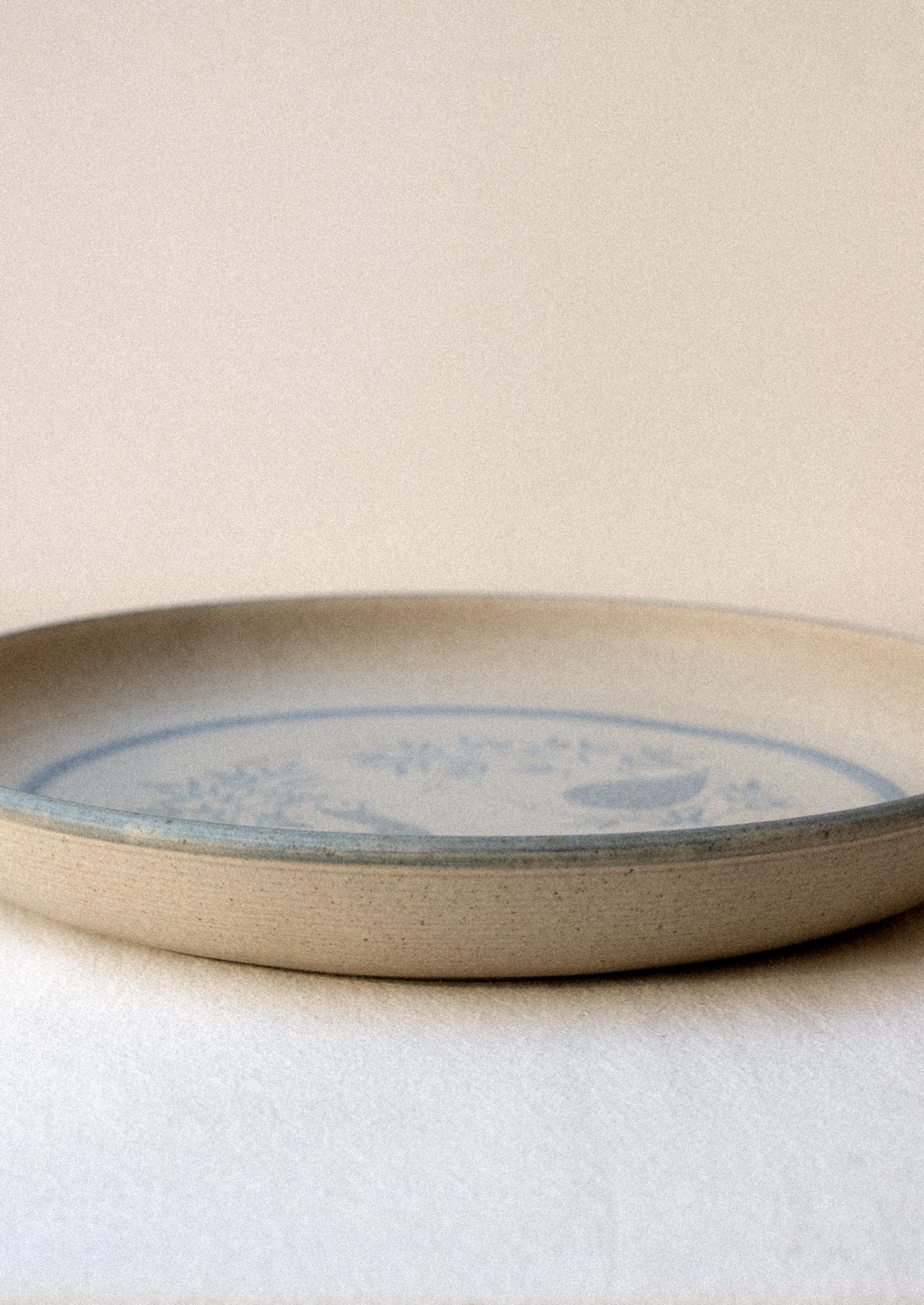 Ceramic plate with blue bird design on a beige background.