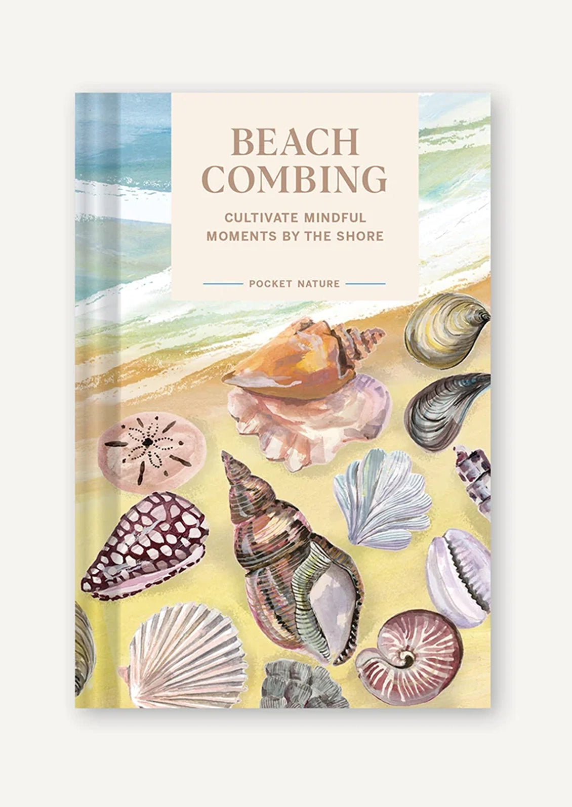 A book titled "Beach Combing" with an image a beach with shells.