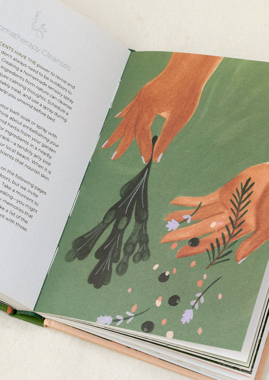An open book on a table showing an illustration of hands holding plants on a green background.