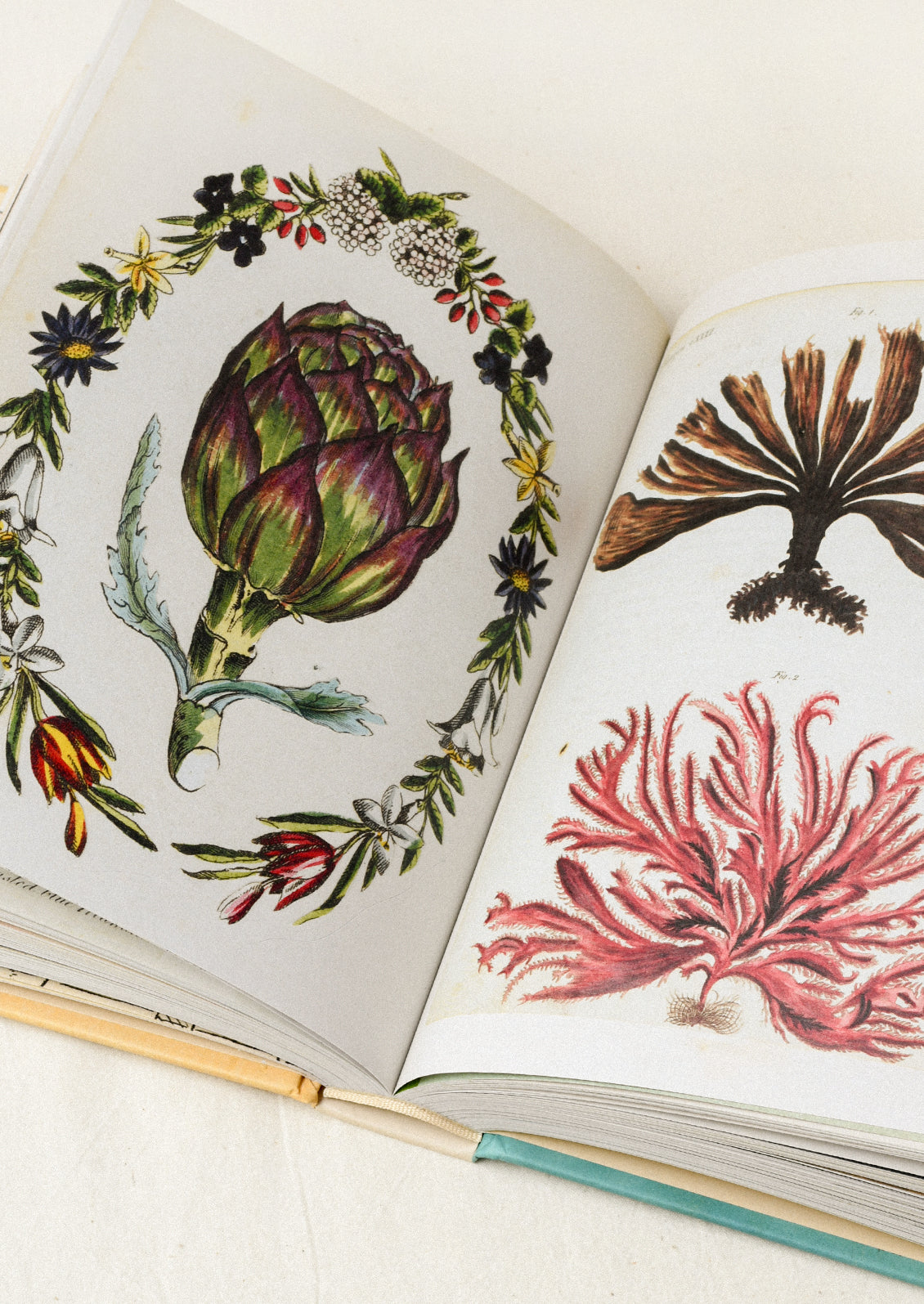 A sticker book sitting open on a table showing two pages, one with an illustration of a large asparagus head surrounded by flowers and the other showing illustrations of sea anemone.