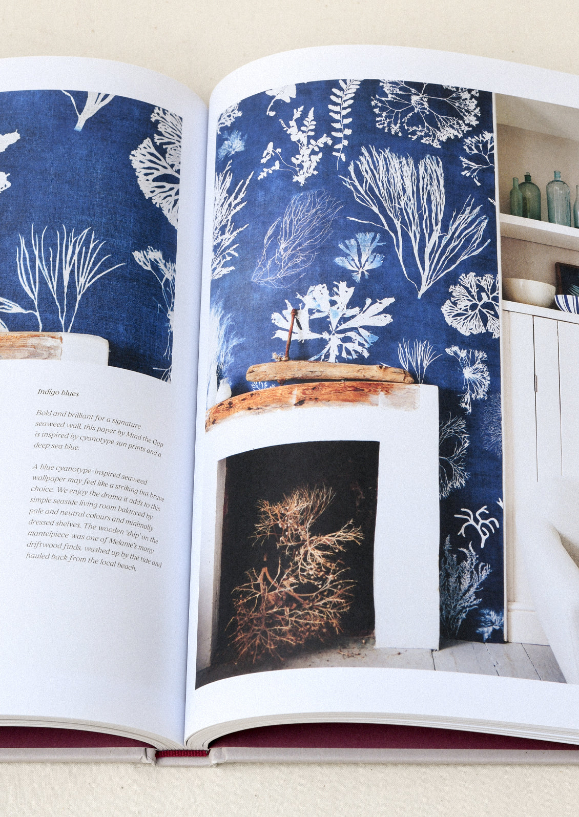 A book titled 'Seaweed: Foraging, Collecting, Pressing' by Julia Bird and Melanie Molesworth.