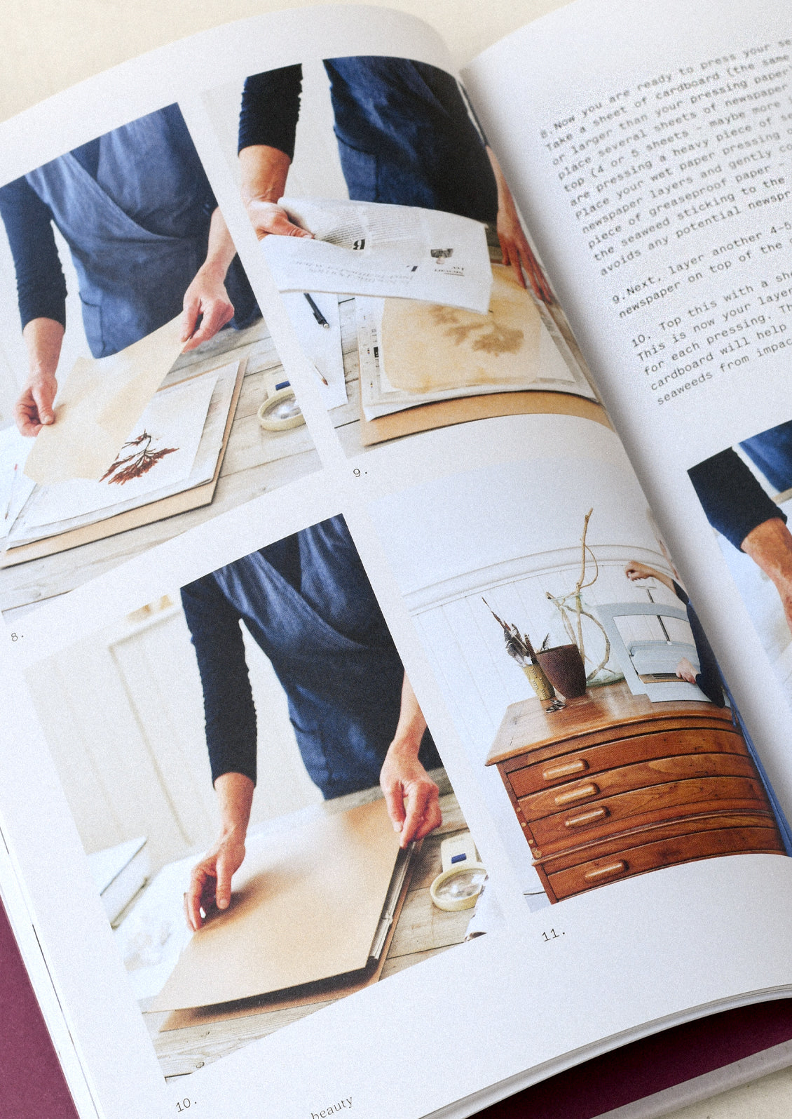A book titled 'Seaweed: Foraging, Collecting, Pressing' by Julia Bird and Melanie Molesworth.