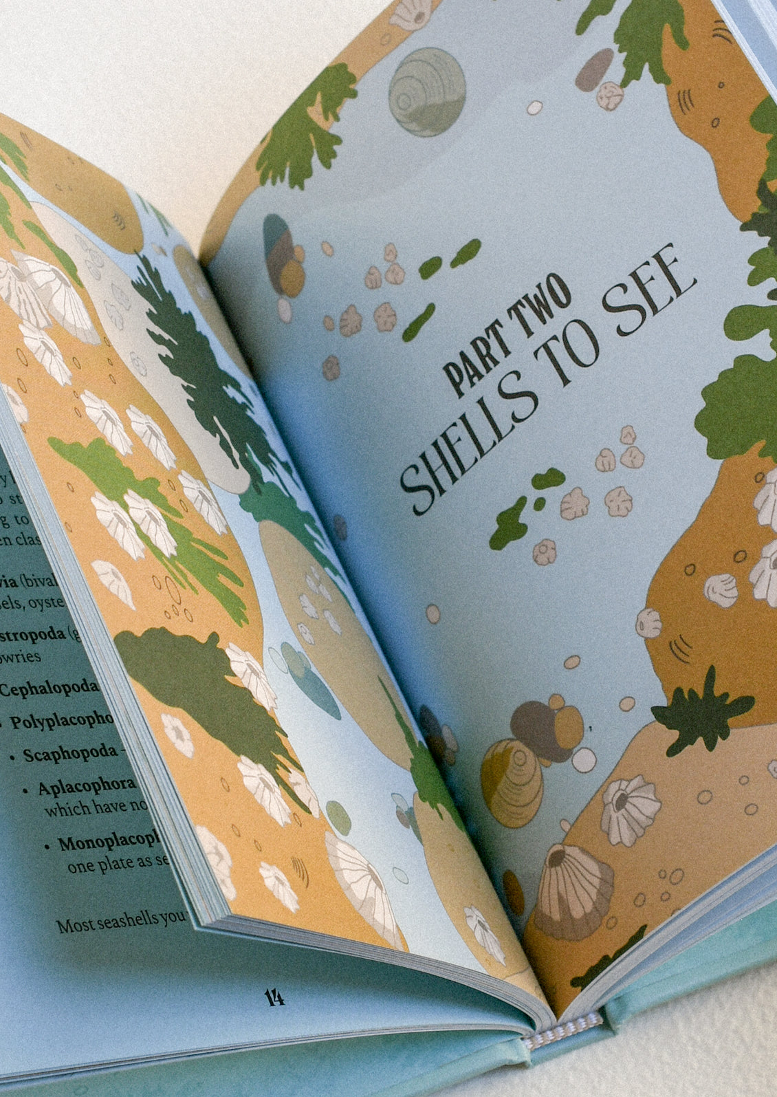 An open book on a table with the words 'Part Two: Shells to See' with illustrations of shells and water.