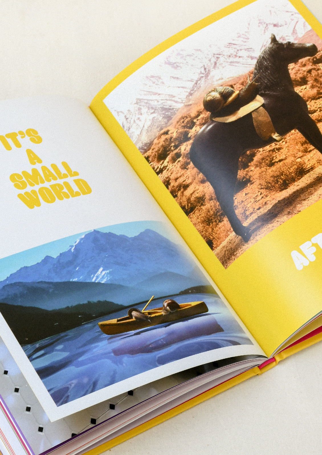 A book titled 'Snail World' by Alei Murawski and Same Copeland open on a table.