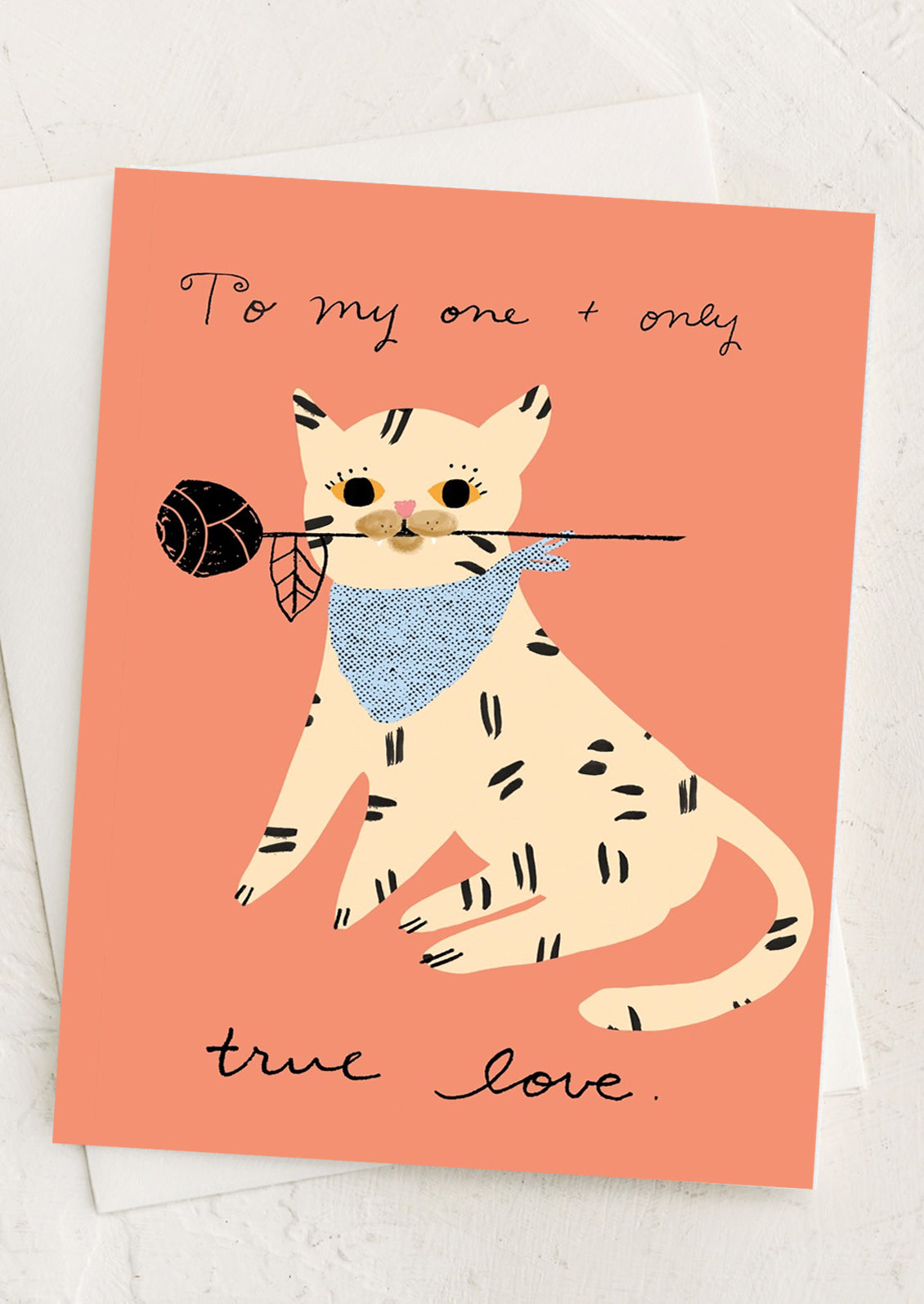 A card with illustration of cat, text reads "To my one and only true Love"