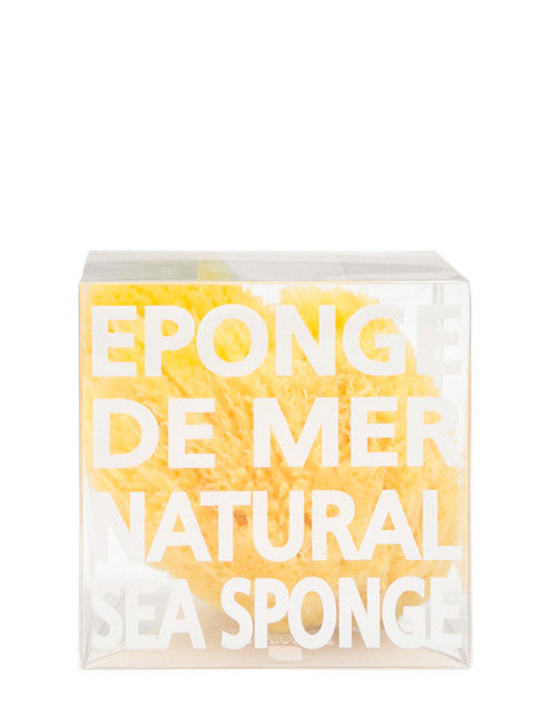 Natural Sea Sponge in  - LEIF