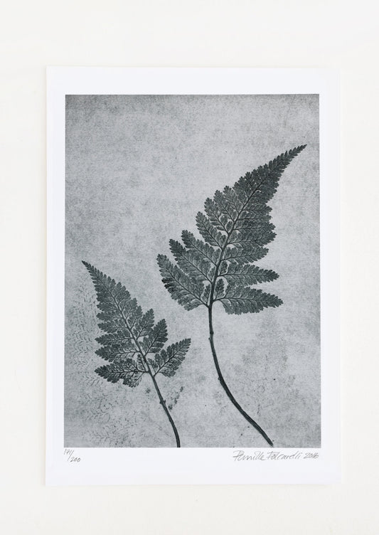 A botanical print of fern fronds in dusty blue.
