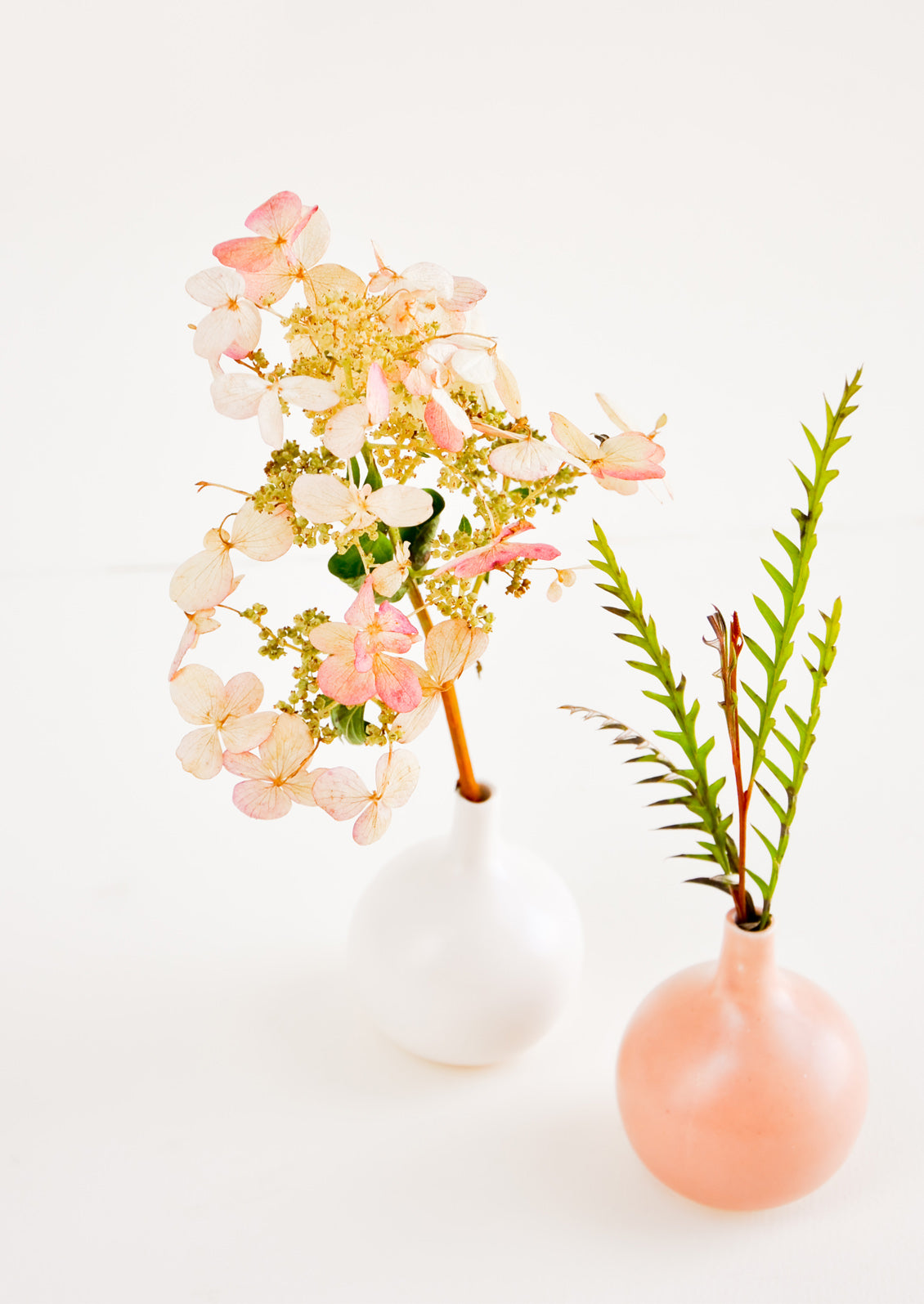 Gossamer Single Stem Vase in  - LEIF